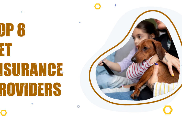 Top 8 Pet Insurance Providers in the UK